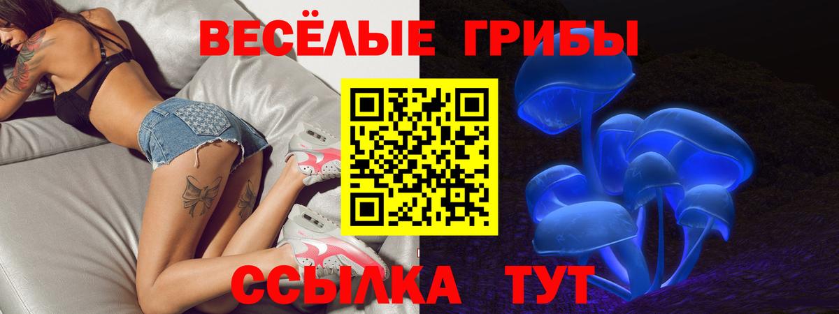 Псилоцибиновые грибы Psilocybe Трёхгорный