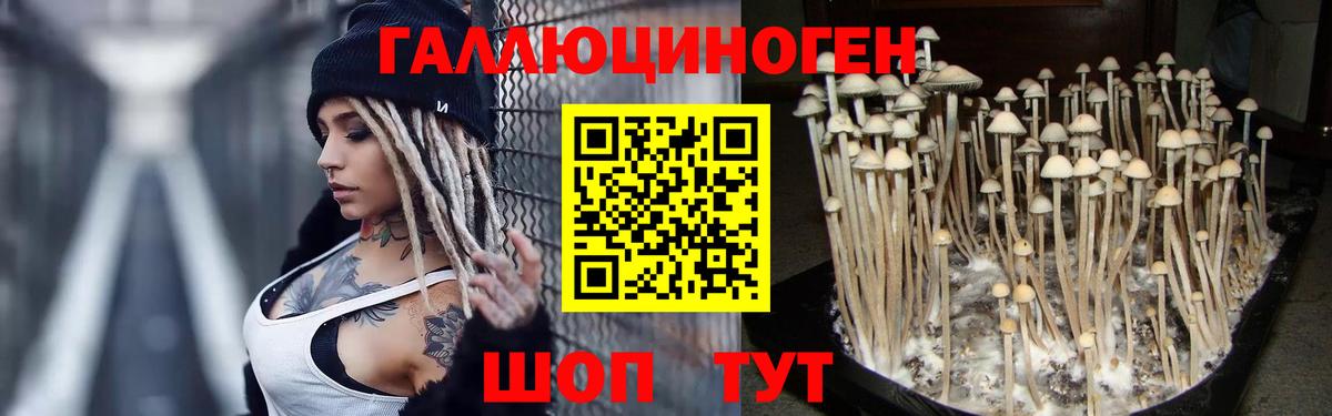 Псилоцибиновые грибы MAGIC MUSHROOMS  Псилоцибиновые грибы Psilocybe  Вход с VPN  Трёхгорный 